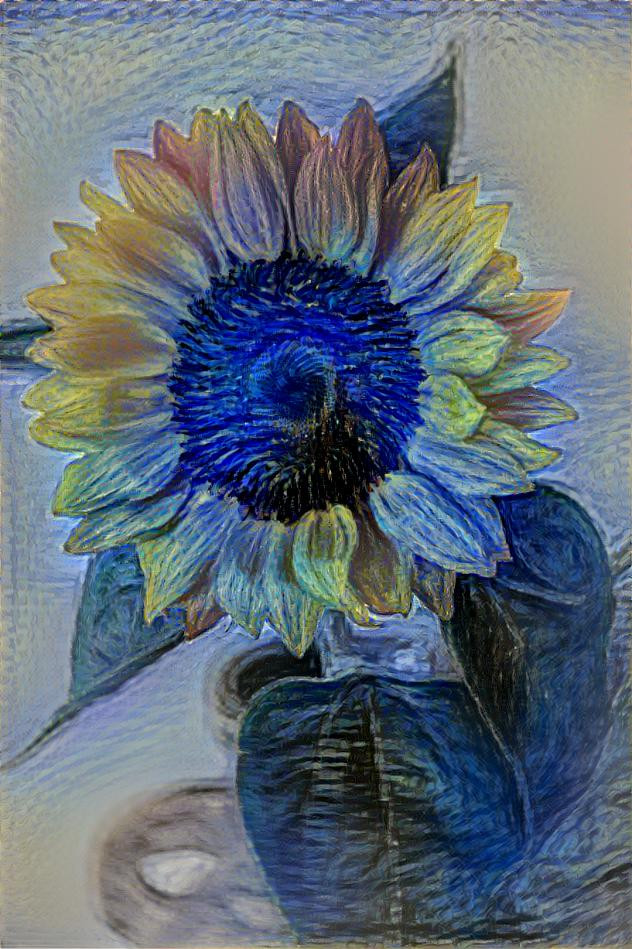 Starry night sunflower
