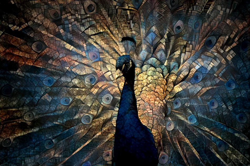 My peacock Sri Arjunaraja