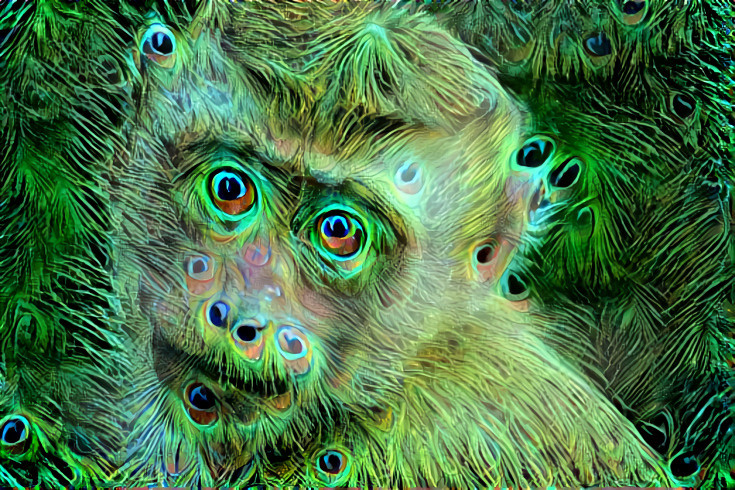 Peacock monkey