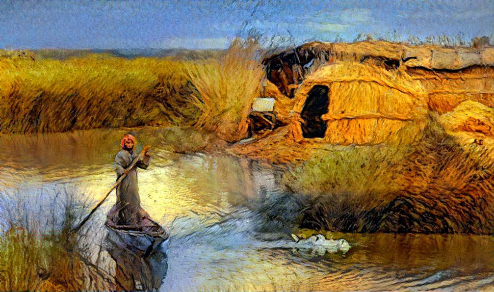 The marshes of Iraq