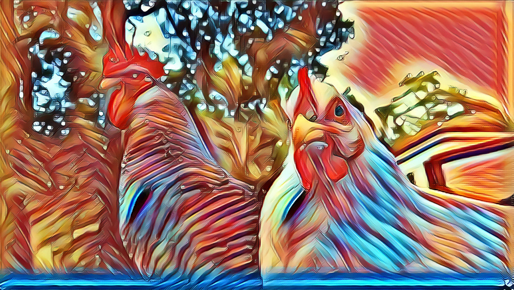 Rooster and Hen 1