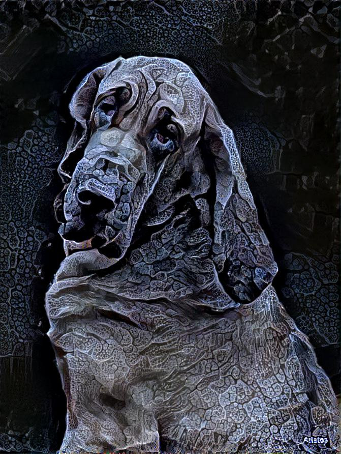 My bloodhound girl Lorenza