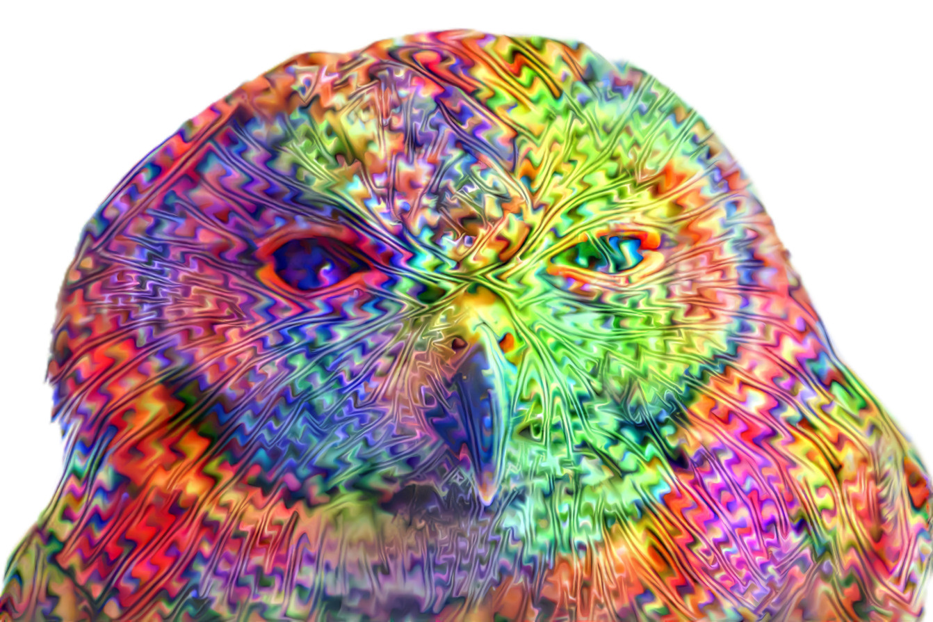 Rainbow Owl - Dream Remix by Daniel W. Prust