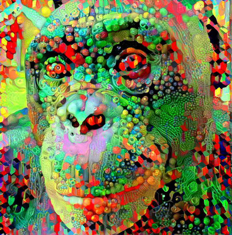 chimpanzee15