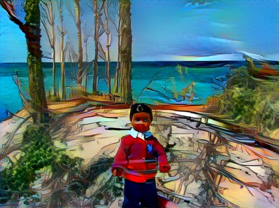 Travel Doll on Lake Michigan Bluff
