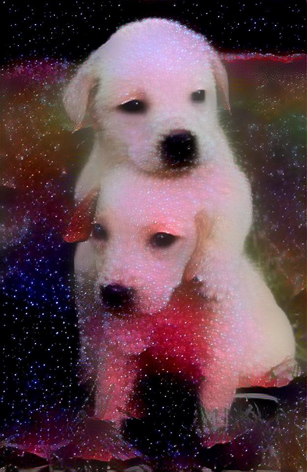 galaxy dogs