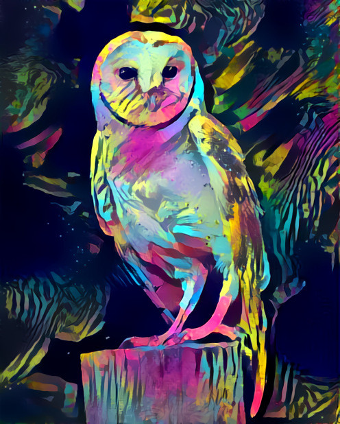 Dreamtime Owl