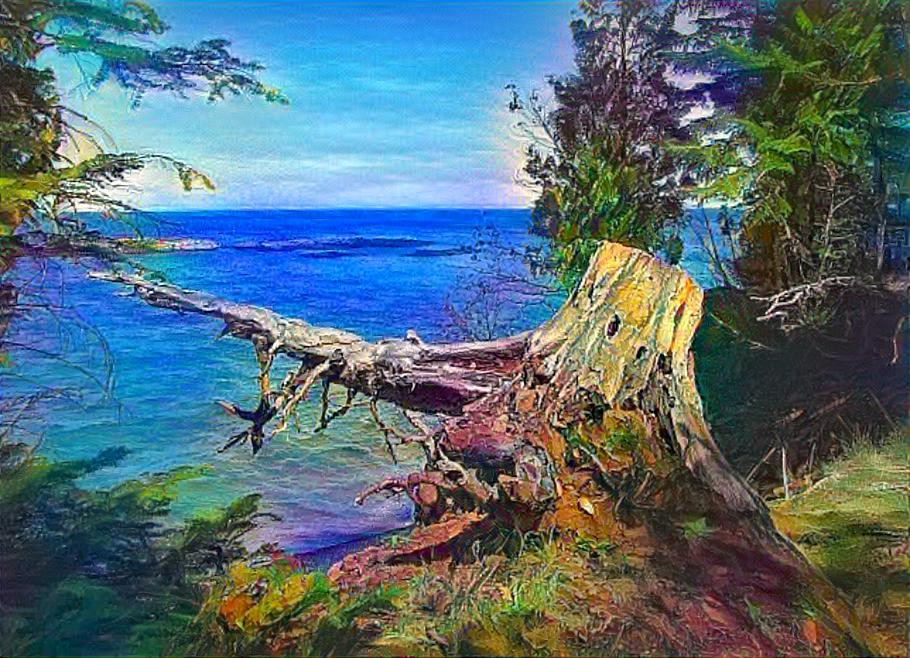 Interesting - Tree Stump - Lake Superior Shoreline