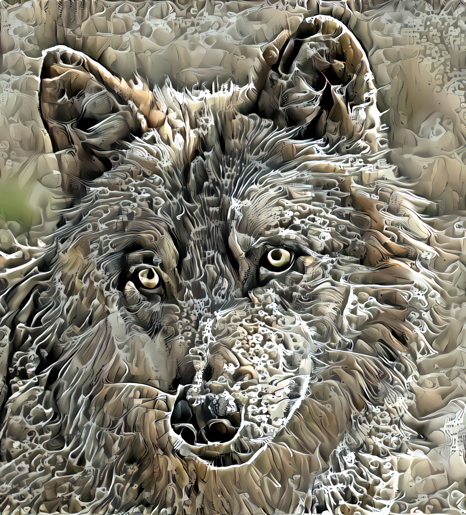 white wolf 2