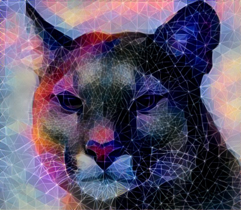 Kaleidoscopic Puma