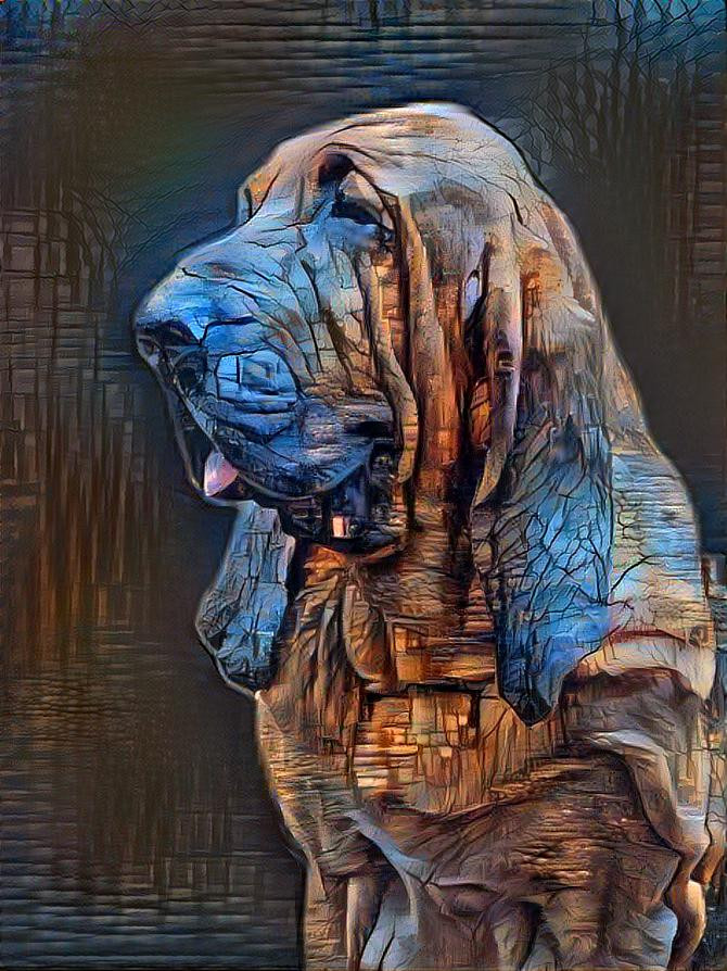 My bloodhound boy Robinson