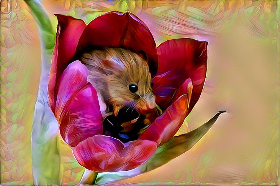 Mouse In Tulip