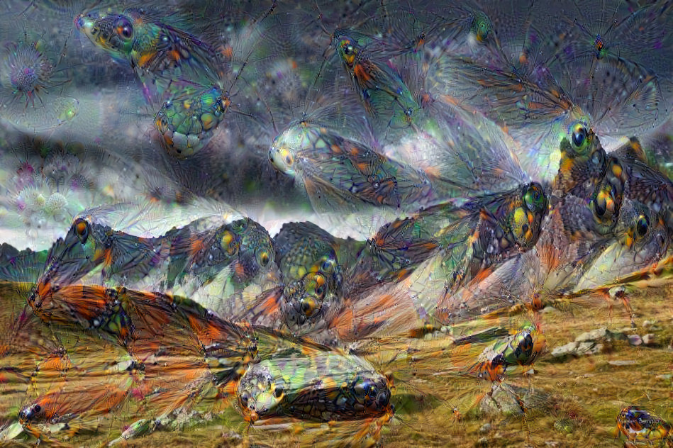 Mountain of Butterfly