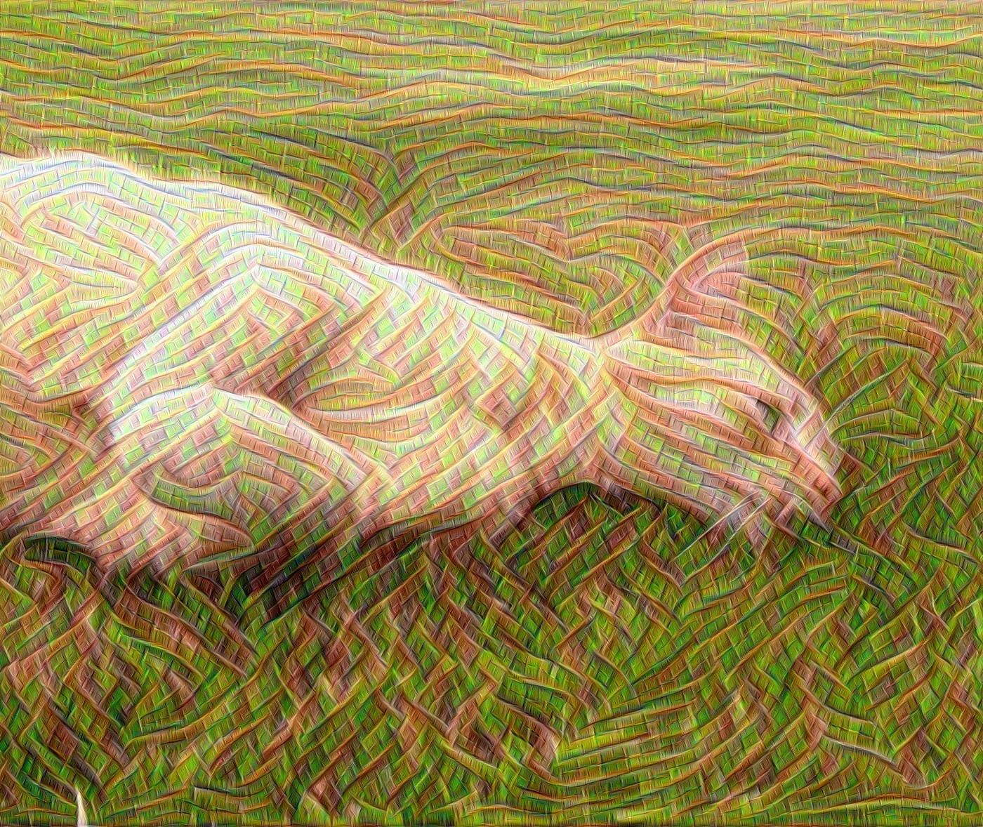 Cat mosaic