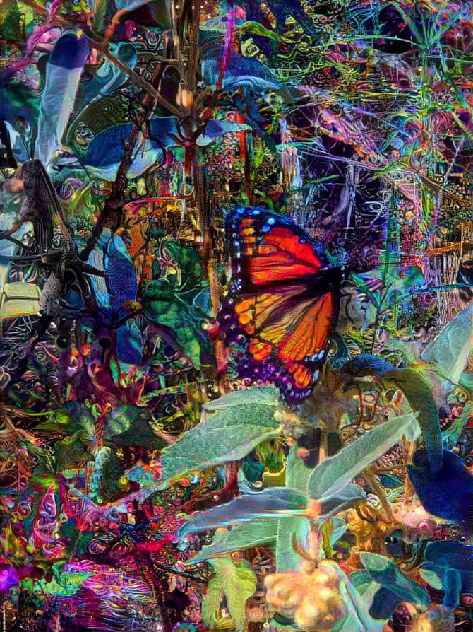 Butterfly dreams