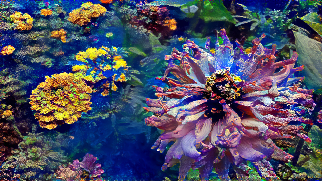 Floral Reef