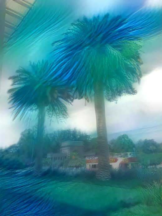 Palms under the sea