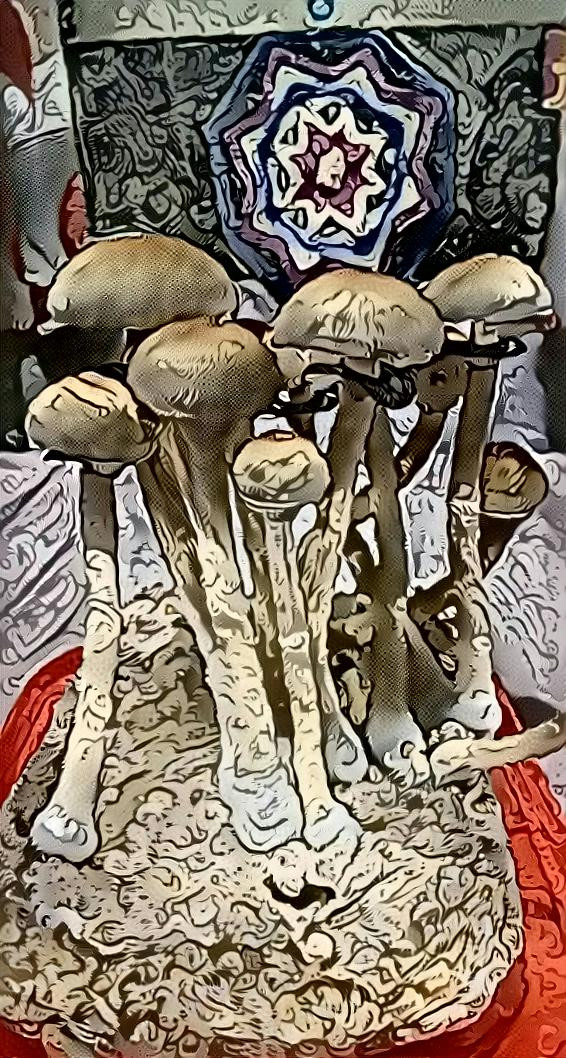 mushroom dream 2.0