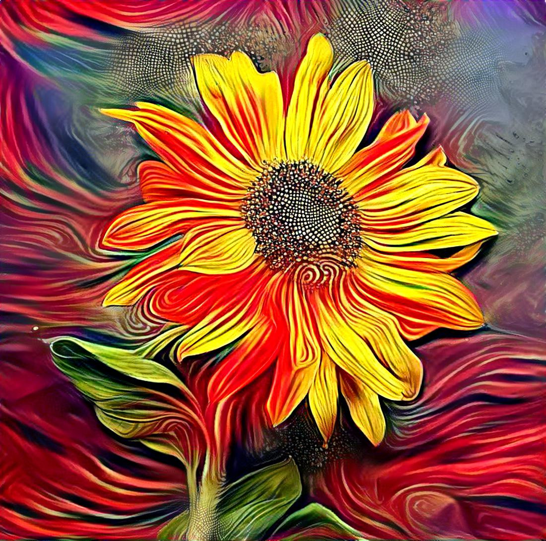 freestile sunflower