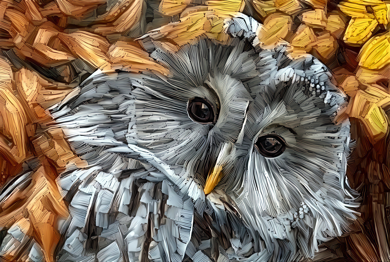 There's always a hidden owl in knowledge ~ E.I. Jane \ Style by Artist  Yulia Brodskaya