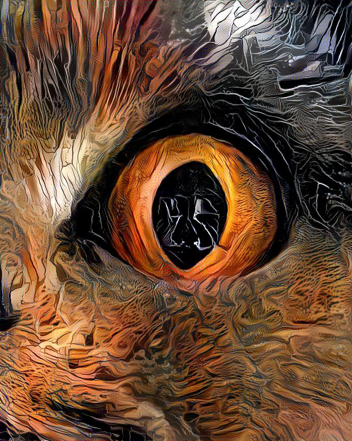 Cat’s Eye v3