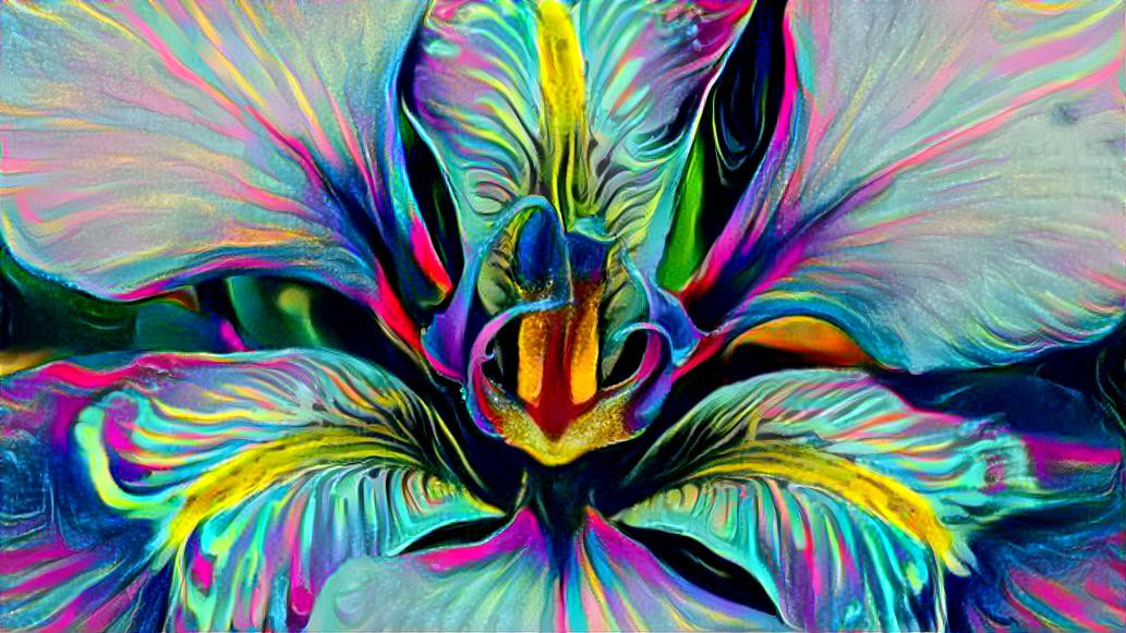 Multicolored Iris