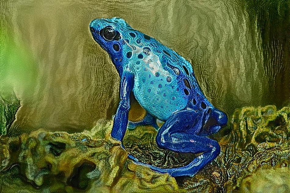D. tinctorius "Azureus" aka Blue Poison Toad