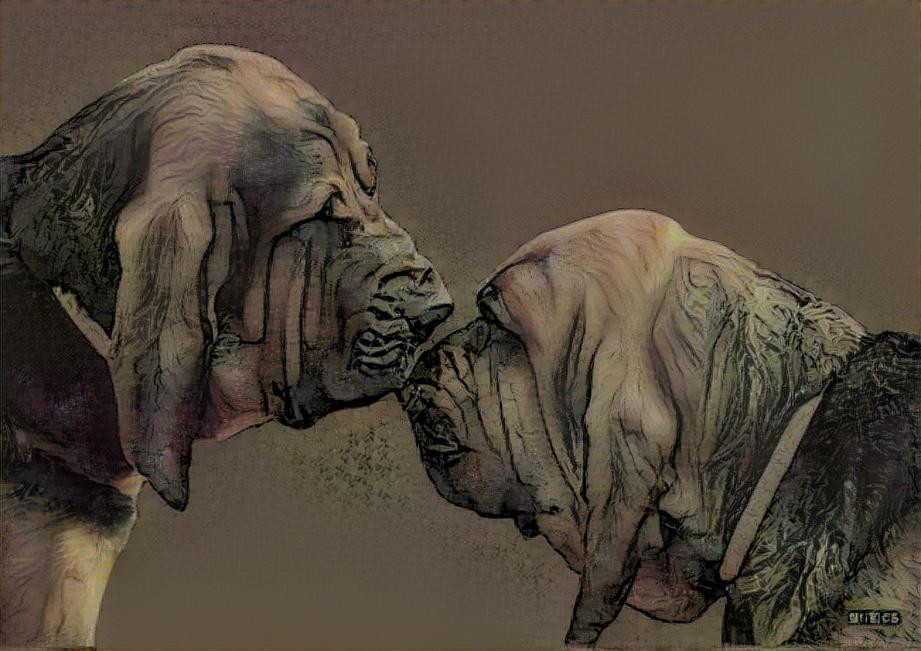 My bloodhounds: Vondracek & Mary
