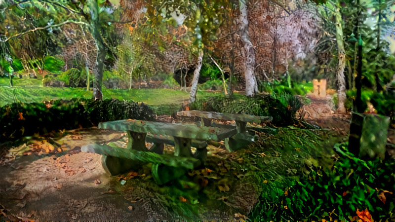 Picnic Bench at Cedar Grove Park