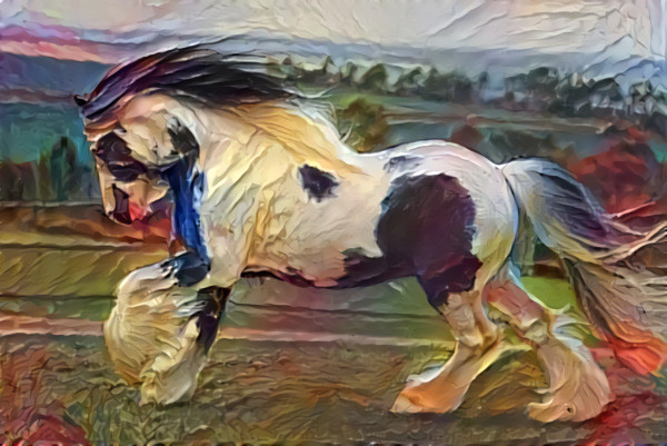 Gypsy Horse