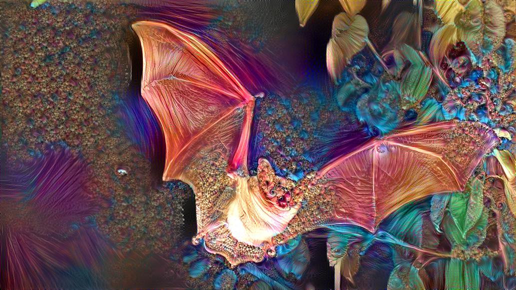 Fractal Bat