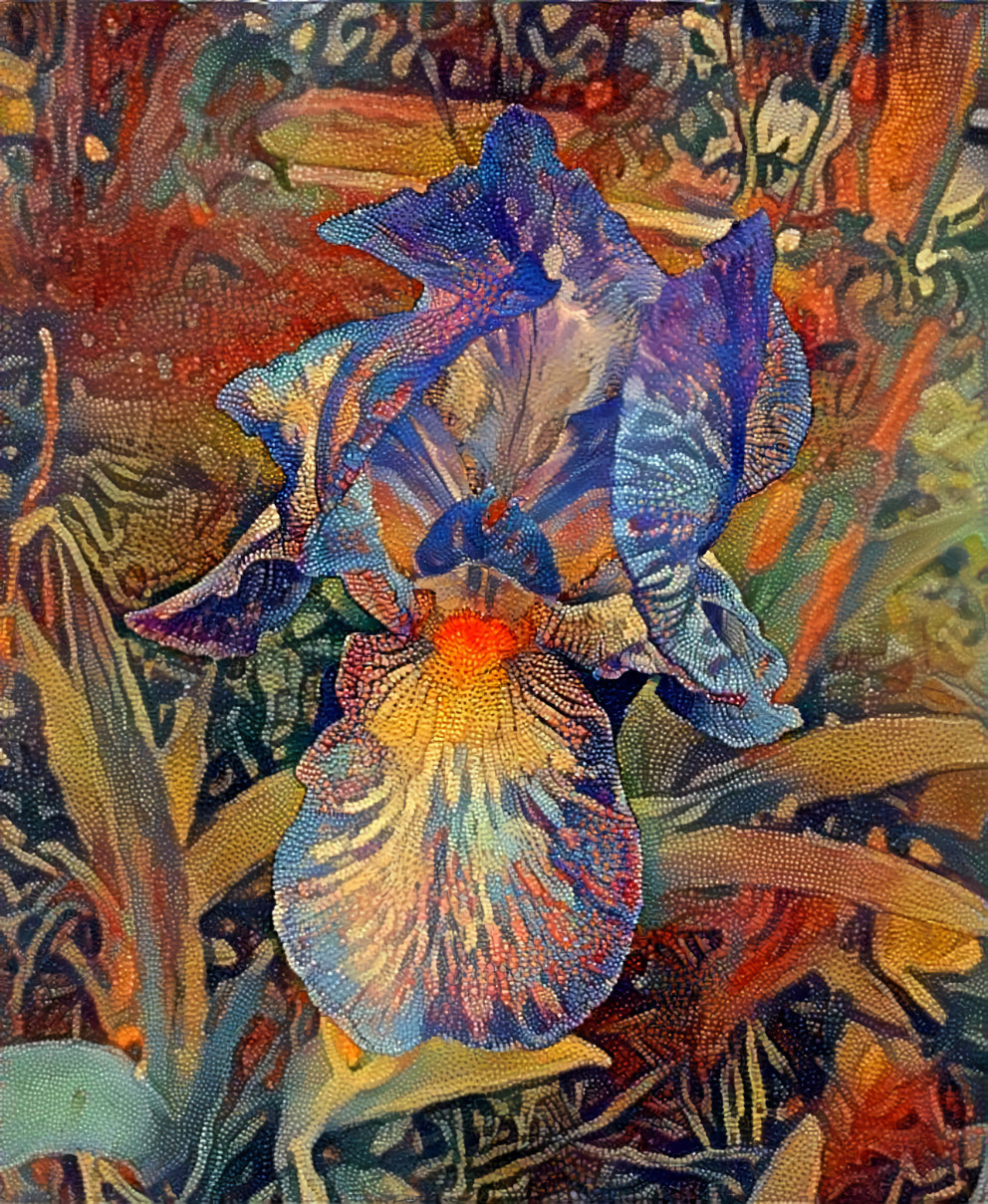 Mosaic Iris