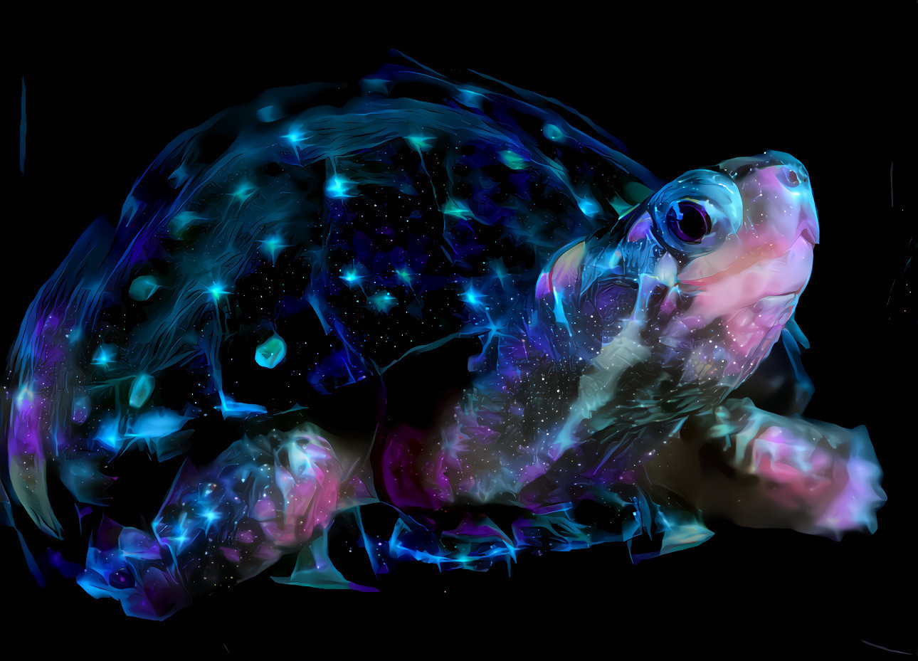 luminous turtle