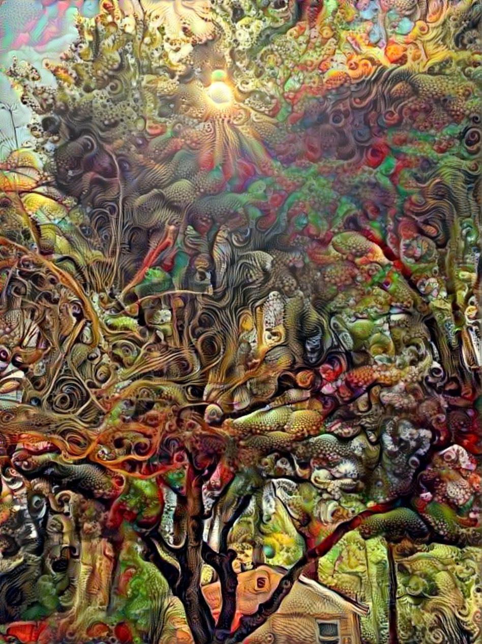 Tree of Dreams 