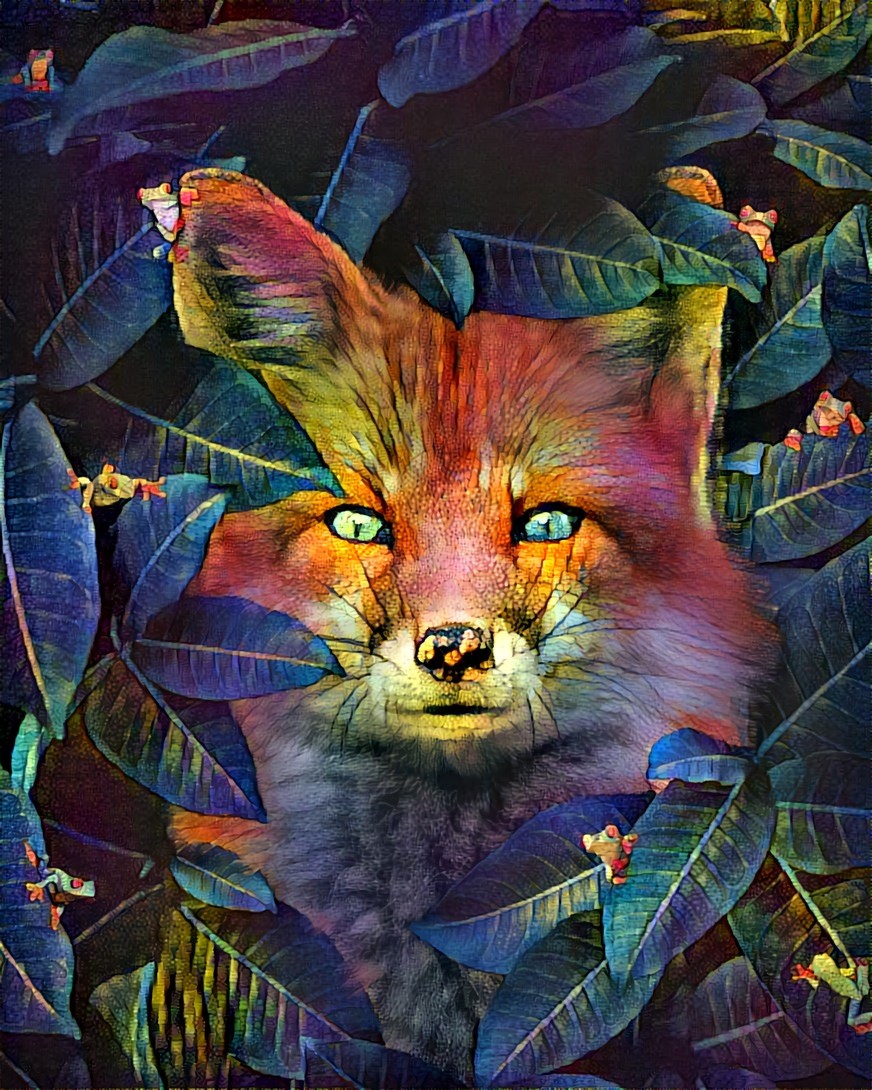 Supposedly Seeing a fox in a dream could symbolize the need for shrewdness in your approach to challenges and obstacles.