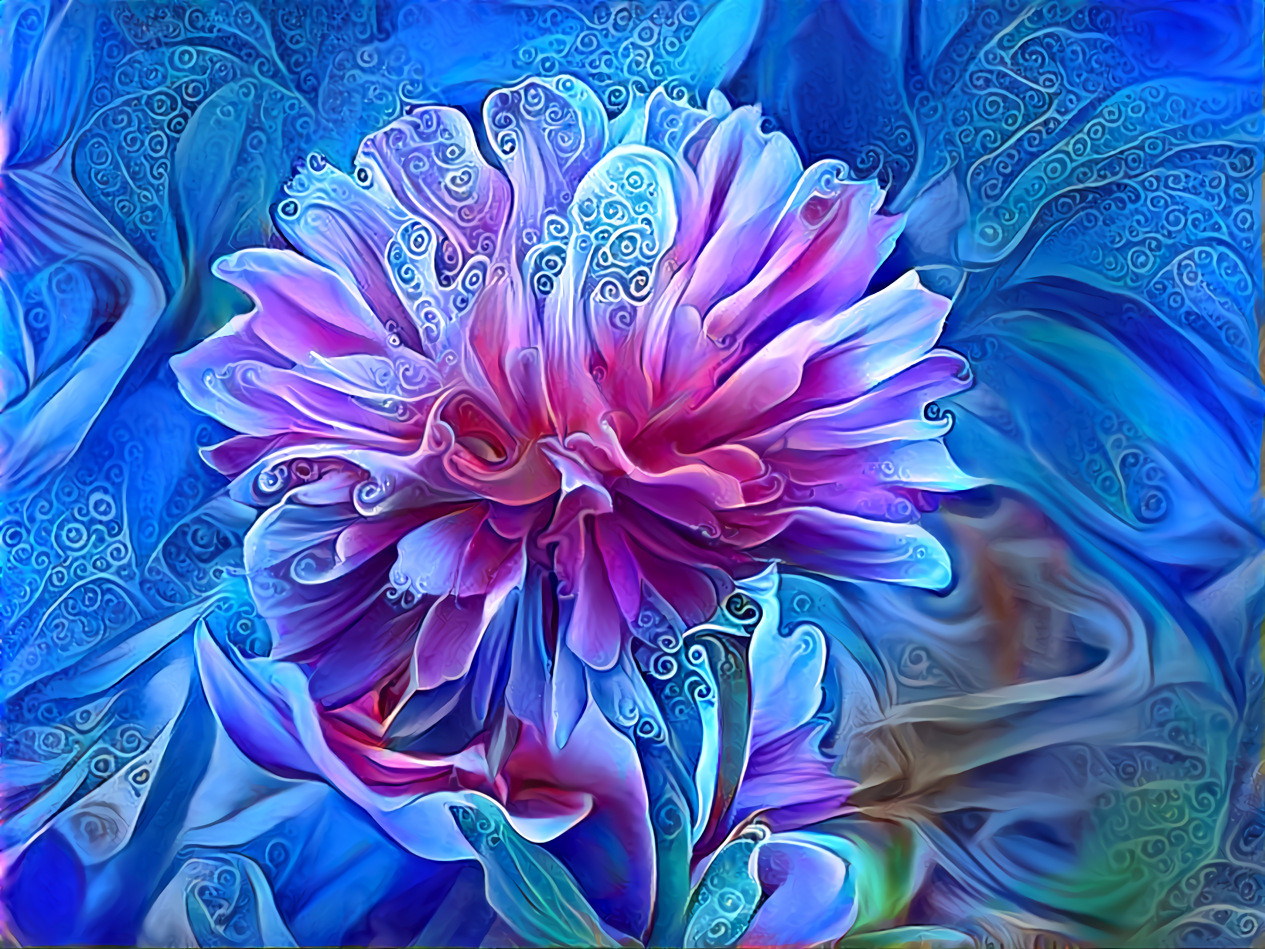 A Peony Sings the Blues