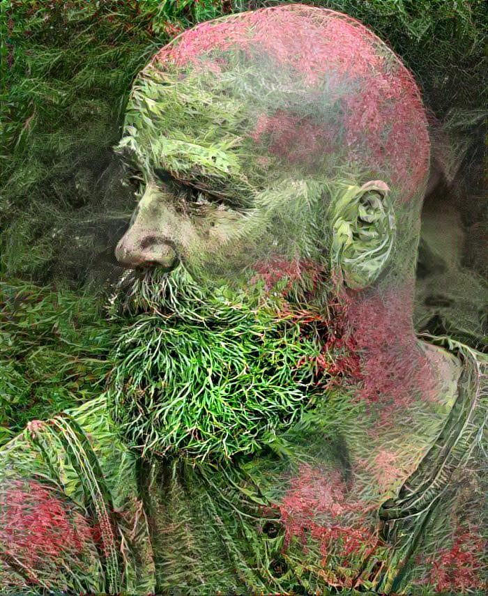 Bald man with beard @ wattle bush