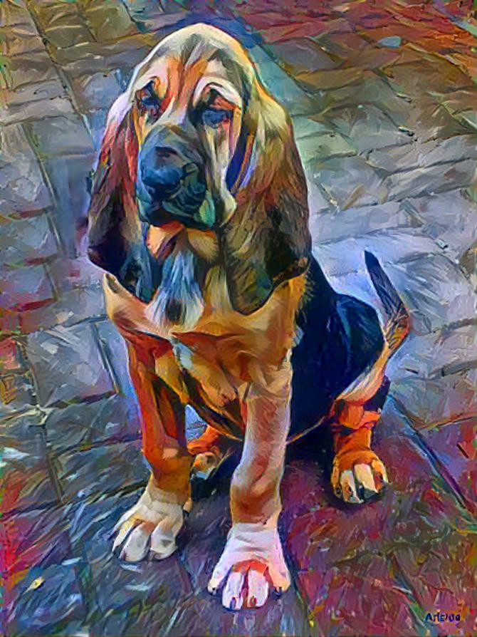 My bloodhound girl Irma as a puppy