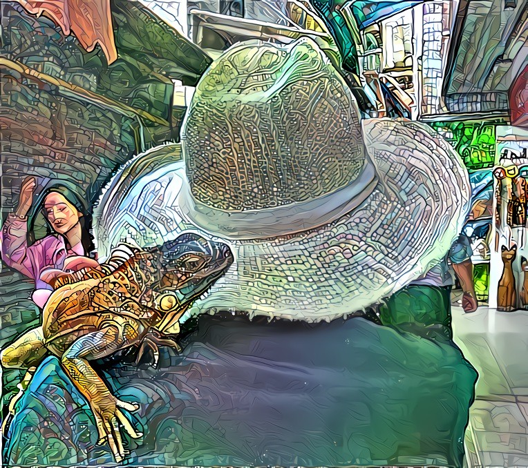 Locally famous Iguana on Lamma Island, Hong Kong