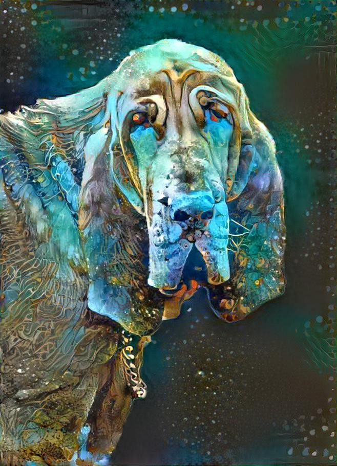 My bloodhound girl Iranda