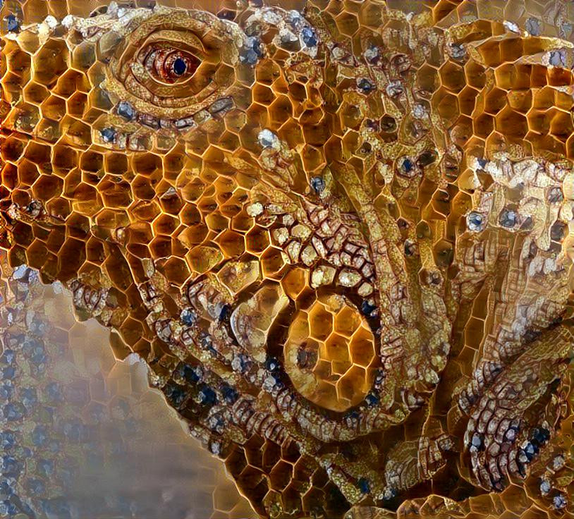 Honeycomb lizard 