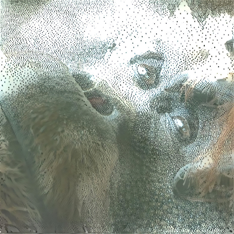 Orangutan at Houston Zoo