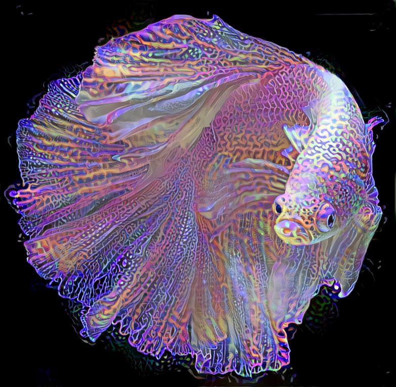  "Neon fish" _ (210314)  