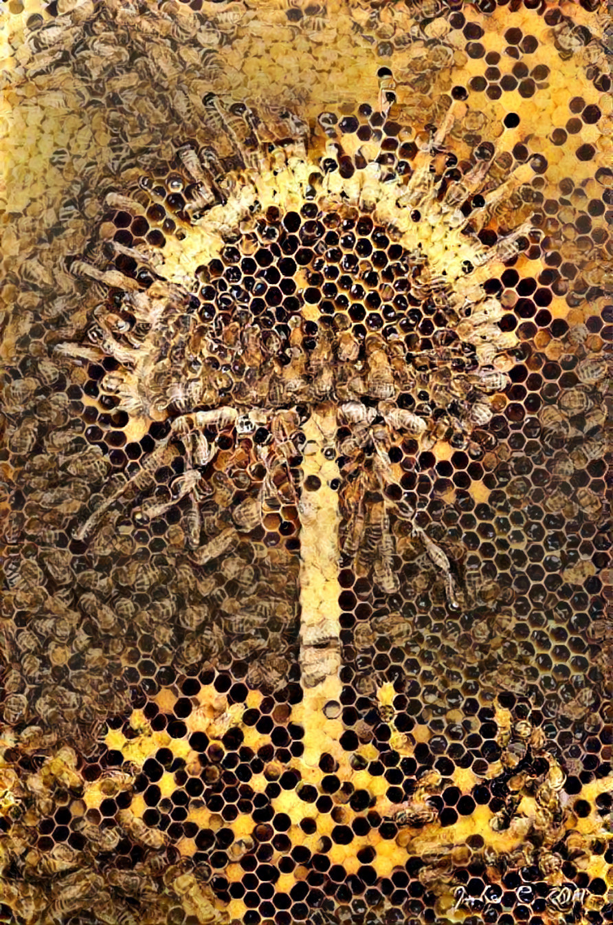 mushroom - gold honey comb