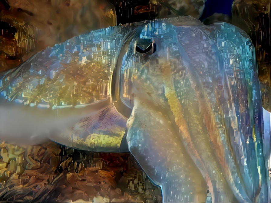 The Soulful Cuddle Fish https://www.youtube.com/watch?v=GDwOi7HpHtQ