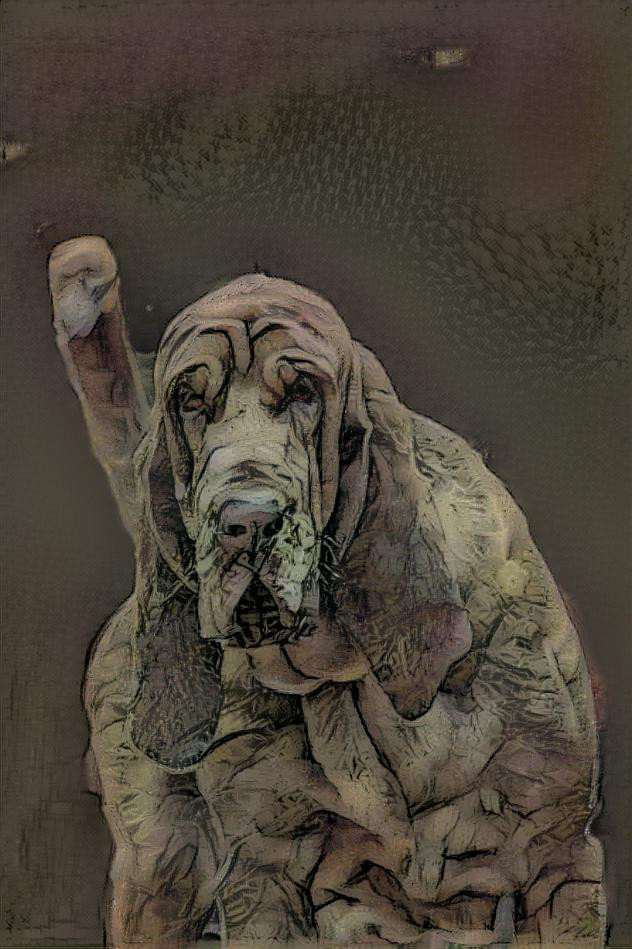 My bloodhound boy Rufus