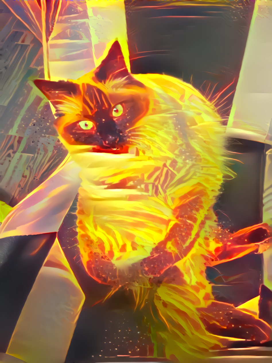 Fire cat 2