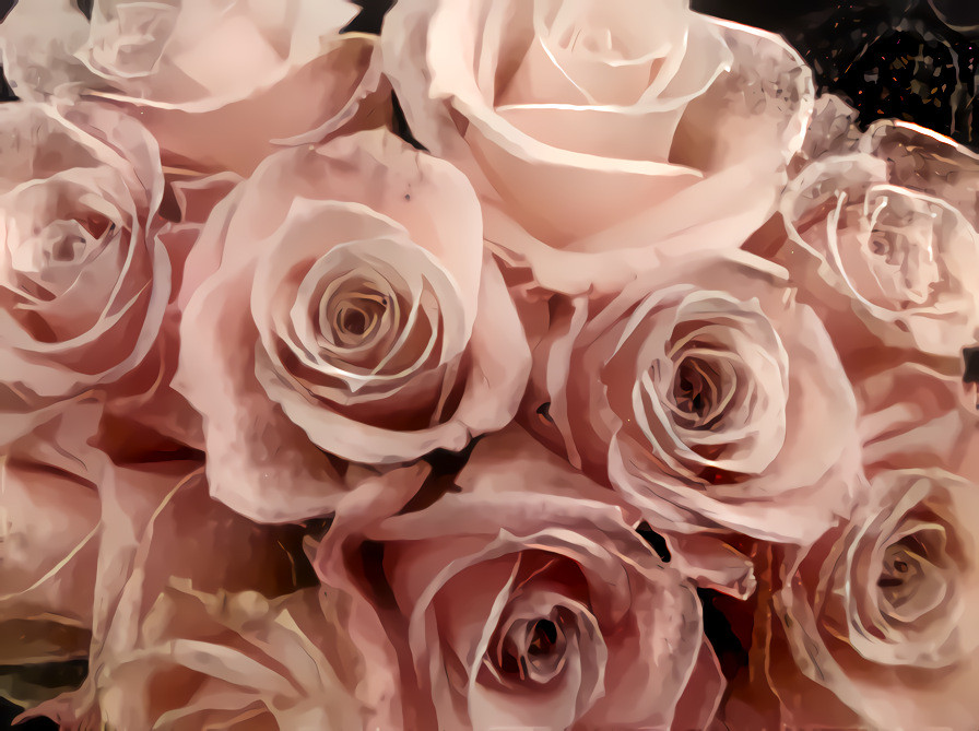 Pale Pink Roses #1