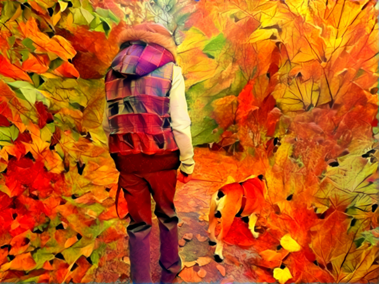 Autumn walks