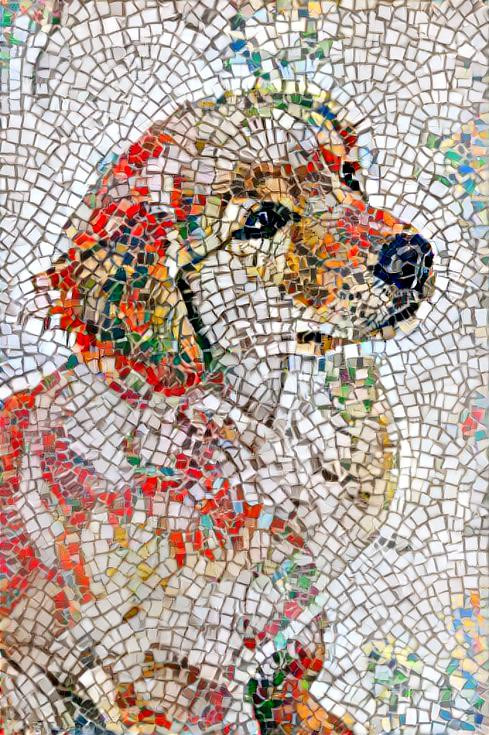 Mosaic pup